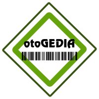 otoGEDIA(@otogediacom) 's Twitter Profile Photo