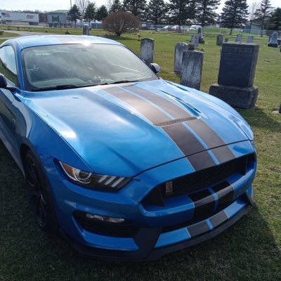 GT350