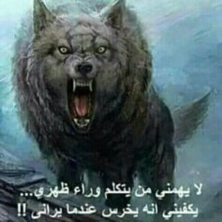 BdhMwtt's profile picture. الكنج