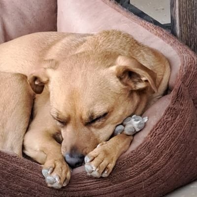 Suns769321's profile picture. 