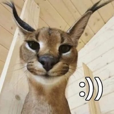 FfFf94970198's profile picture. I like furry porn but I don't want people to know so I made this account
