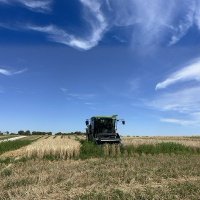 UW Cereals Breeding & Quantitative Genetics (@uwmadison_cb_qg) 's Twitter Profile Photo UW Cereals Breeding & Quantitative Genetics (@uwmadison_cb_qg) 's Twitter Profile Photo