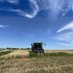 UW Cereals Breeding & Quantitative Genetics (@uwmadison_cb_qg) Twitter profile photo UW Cereals Breeding & Quantitative Genetics (@uwmadison_cb_qg) Twitter profile photo