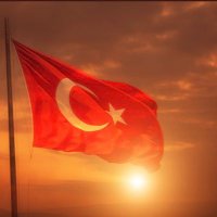 Hayâl Tireli (@hayaltireli) Twitter profile photo