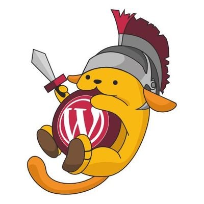 WordPress Roma Profile
