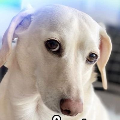 DinerFullstock2's profile picture. 