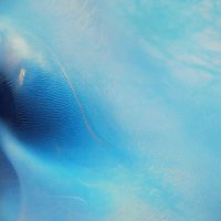 t (@tbyker1) 's Twitter Profile