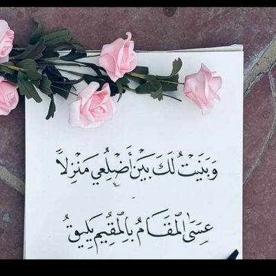 ShahlaaHussein's profile picture. 