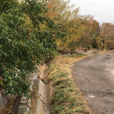 BaharehZamirian's profile picture. B/Z