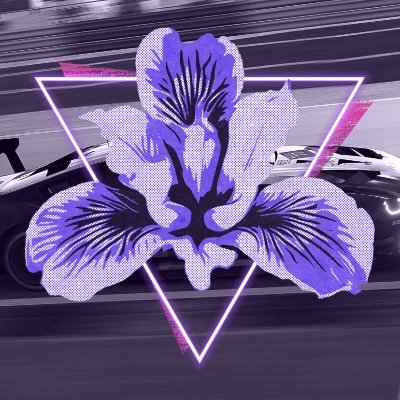Sim-Racing team competing across the virtual motorsport world.
#PurpleMagic ✨ 💜