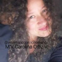 VeterinarioDomicilioMerida(@VeteriDomicilio) 's Twitter Profile Photo