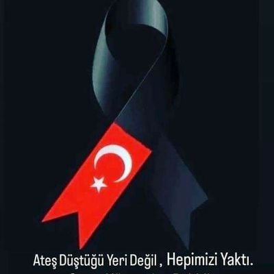 AytenSelvi14's profile picture. 