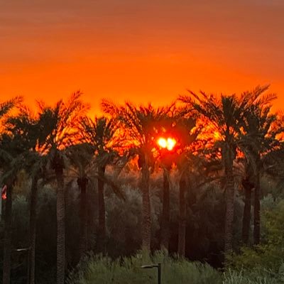 JohnAugustat's profile picture. 