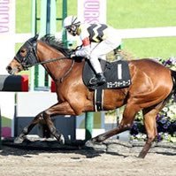 秋山稔樹です! 騎手として日々励んでいます!よろしくお願い致します! 名探偵コナンとMrs. GREEN APPLEが好きです!アニメや映画を見る事は全般好きです!
