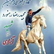 ‏‏‏‏عضوی از نسل سوخته،وطن پرست،منتقم(کینه شتری)
A Member Of The Burnt Generation,The Patriot,Revenger,Punisher