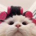 '' (@nilxg3) Twitter profile photo '' (@nilxg3) Twitter profile photo