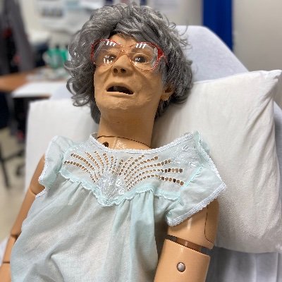 University of Edinburgh HiSS  Nursing Studies Clinical Skills and Simulation. All things clinical skills and simulation in health care.