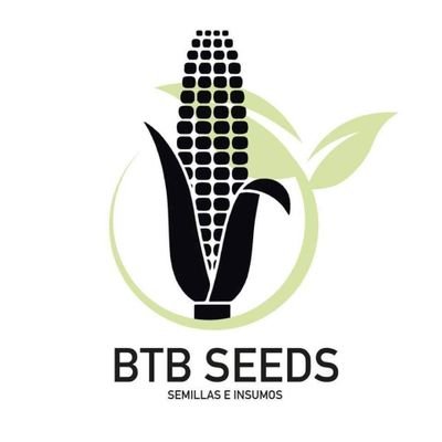 BTB Seeds