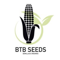 BTB Seeds (@btb_seeds) 's Twitter Profile