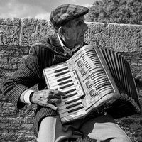 Accordian Investing(@AcordianR) 's Twitter Profile Photo