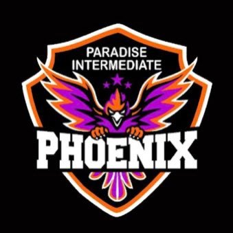 PI Phoenix Hockey Profile
