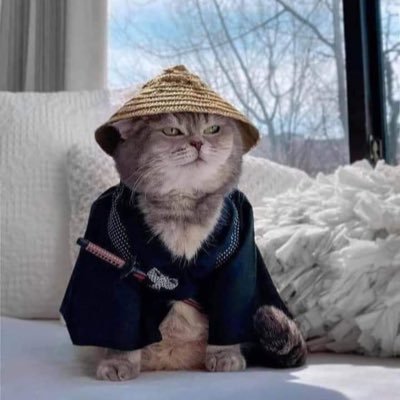 guruzailk's profile picture. 