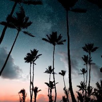 bkos96's profile picture. 