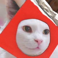 オリオン☆バラエティ^ↀᴥↀ^ (@orion_1221) 's Twitter Profile Photo オリオン☆バラエティ^ↀᴥↀ^ (@orion_1221) 's Twitter Profile Photo