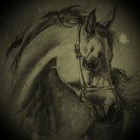 ،،أبو محمد،، (@alfaris47433169) 's Twitter Profile Photo