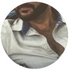 altan34 (@commandd34) Twitter profile photo altan34 (@commandd34) Twitter profile photo
