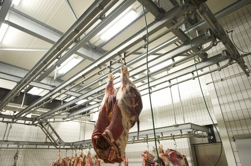 BroezeSlachtinr's profile picture. Slachthuisinrichting voor midden- en kleinbedrijf. Ontwerp en productie van complete slachtlijnen op maat en installatie op locatie.