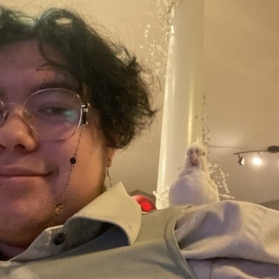 alonelyarchive's profile picture. 19. he/him. rqg/taz/trifor/malevolent/sf brainrot. local dnd bard