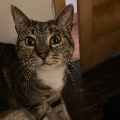 Jac866ry25's profile picture. 