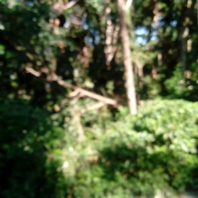soy de eso ciudadanos que vive en este país México donde quiere un verdadero cambio político y de las institución educativa economía ecología y jurídicas