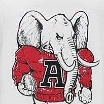 redelephant72's profile picture. twitter always censored me, thank you Elon for freeing the birds! 🦅