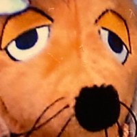 共謀共同製パン(第260代将軍徳川家壊) (@keinelustdazu) 's Twitter Profile Photo 共謀共同製パン(第260代将軍徳川家壊) (@keinelustdazu) 's Twitter Profile Photo