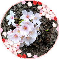 のんぽにょ (@nr2yq8iijyipck9) 's Twitter Profile Photo のんぽにょ (@nr2yq8iijyipck9) 's Twitter Profile Photo