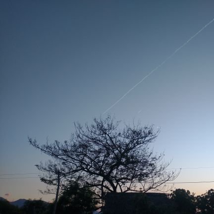 EstefannyPerezS's profile picture. Seamos el malestar general de la sociedad🙃