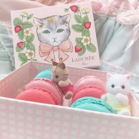 みずき (@__angel_snow) 's Twitter Profile