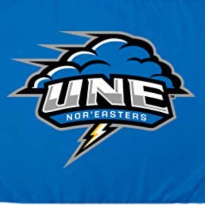 All About UNE Mens Lax