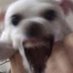 퇴근시켜주세요 (@_shrimpsushi) Twitter profile photo 퇴근시켜주세요 (@_shrimpsushi) Twitter profile photo