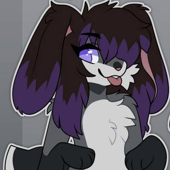 22yo | trans mtf | furry bunny | bi |she/her
Awkward and shy, also gaymes addict