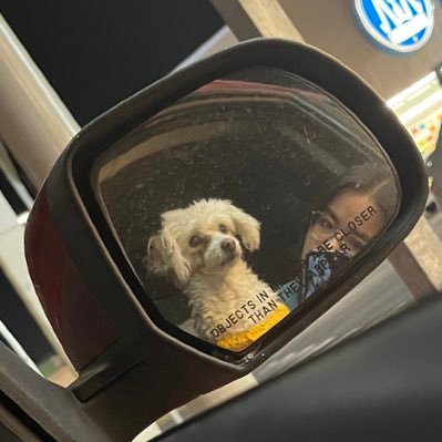 AngelicaaaZav's profile picture. 