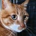 묘부이수혀이🐈 (@kkoolmung) Twitter profile photo 묘부이수혀이🐈 (@kkoolmung) Twitter profile photo