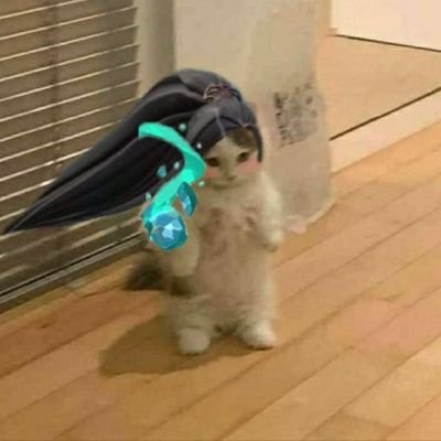 leonalinee's profile picture. 🔰 BSMT | she/her | Ad astra per aspera