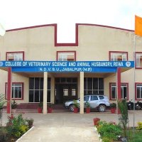 COLLEGE OF VETERINARY SCIENCE REWA,STUDENTS (@vetrewa) 's Twitter Profile Photo COLLEGE OF VETERINARY SCIENCE REWA,STUDENTS (@vetrewa) 's Twitter Profile Photo