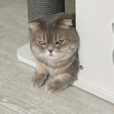 Jinsu_97's profile picture. #YUGYEOM 👉#GOT7 👉  #JUS2 👉 #AOMG