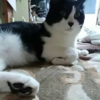 sakutan1960's profile picture. 