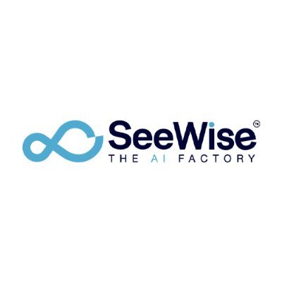 SeeWise.AI Profile