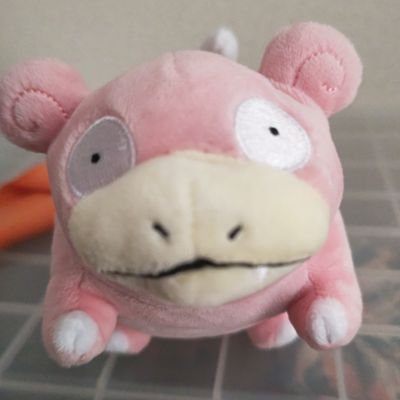 まんまるさんのプロフィール画像